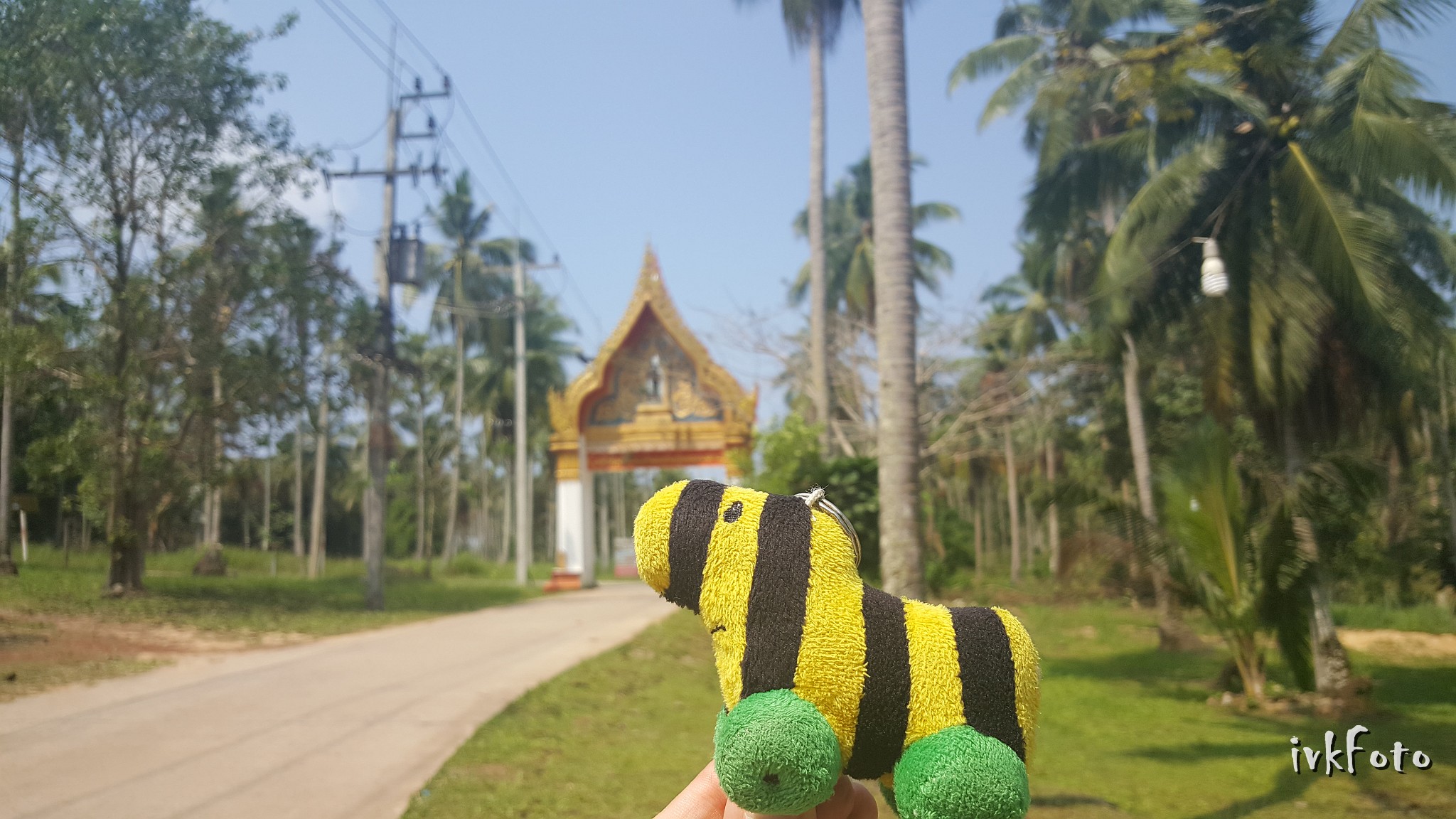 2018 Thailand